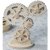 Gear Wheels, Gianni Deida